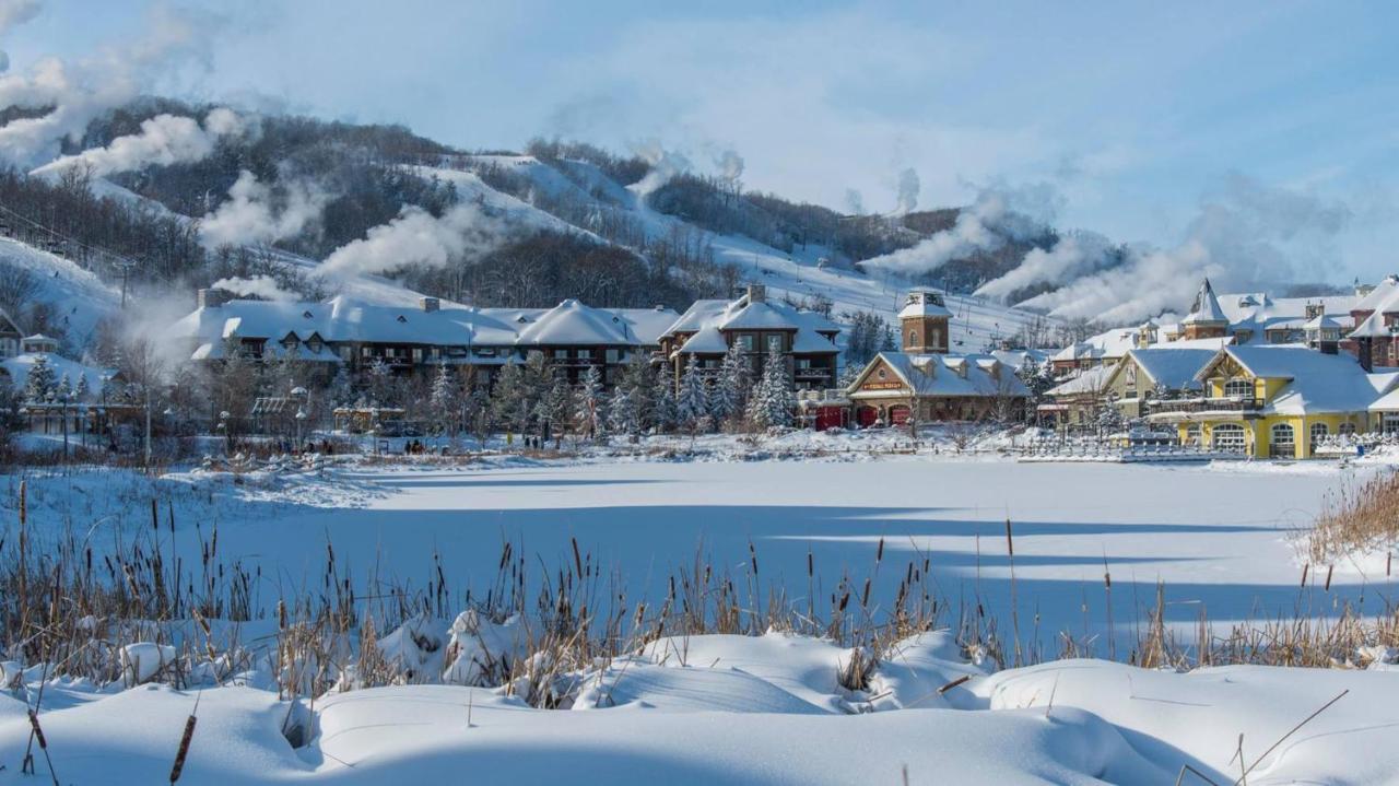 Stunning Townhouse - 3 Bdrm Blue Mountain Village Sauna! ブルー・マウンテンズ エクステリア 写真